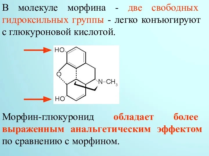 В молекуле морфина - две свободных гидроксильных группы - легко