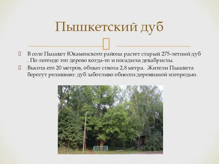 Пышкетский дуб В селе Пышкет Юкаменского района растет старый 275-летний