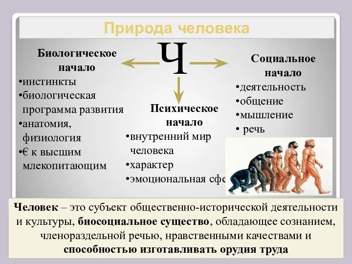 Природа человека Ч Биологическое начало инстинкты биологическая программа развития анатомия,