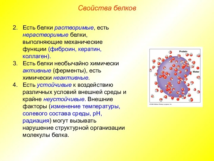 Есть белки растворимые, есть нерастворимые белки, выполняющие механические функции (фиброин,