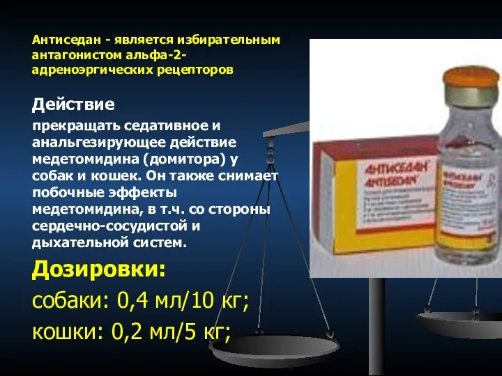 Антиседан - является избирательным антагонистом альфа-2- адреноэргических рецепторов Действие прекращать