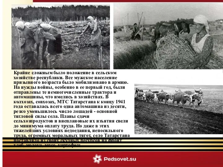 Крайне сложным было положение в сельском хозяйстве республики. Все мужское