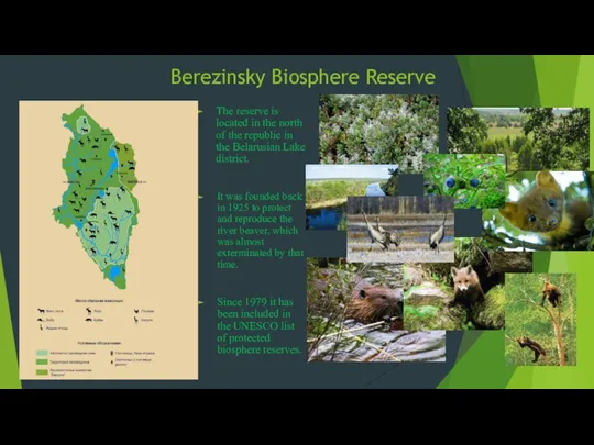 Berezinsky Biosphere Reserve The reserve is located in the north of the republic