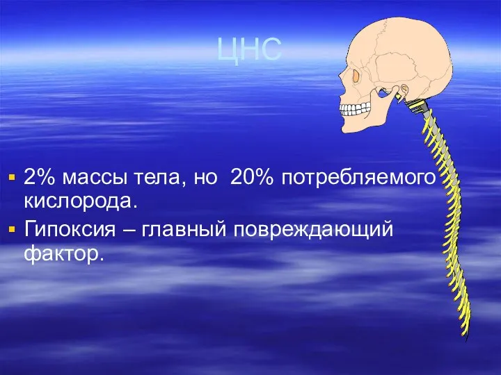 ЦНС 2% массы тела, но 20% потребляемого кислорода. Гипоксия – главный повреждающий фактор.