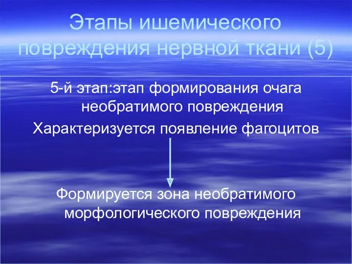 Этапы ишемического повреждения нервной ткани (5) 5-й этап:этап формирования очага необратимого повреждения Характеризуется