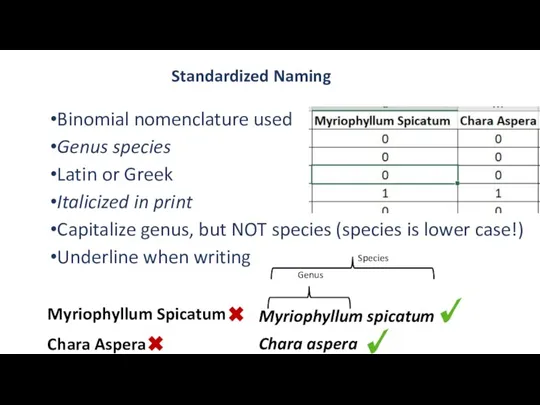 Standardized Naming Binomial nomenclature used Genus species Latin or Greek