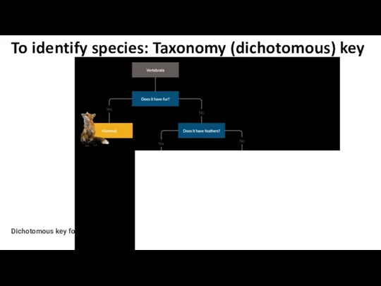 Dichotomous key for animals To identify species: Taxonomy (dichotomous) key