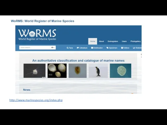 http://www.marinespecies.org/index.php WoRMS: World Register of Marine Species