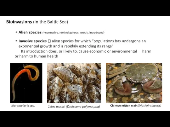 Bioinvasions (in the Baltic Sea) Alien species (=nonnative, nonindigenous, exotic,
