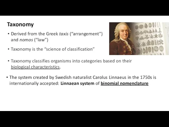 Taxonomy Derived from the Greek taxis (“arrangement”) and nomos (“law”)