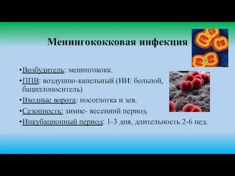 Менингококковая инфекция Возбудитель: менингококк. ППВ: воздушно-капельный (ИИ: больной, бациллоноситель) Входные