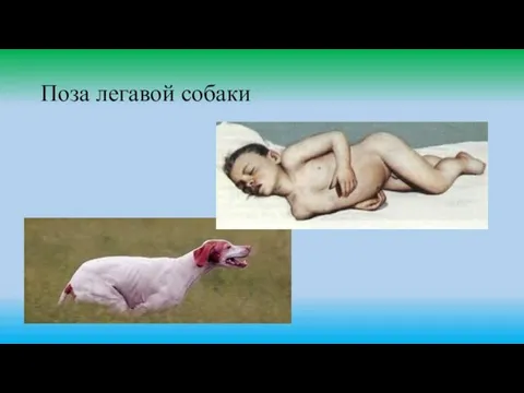 Поза легавой собаки