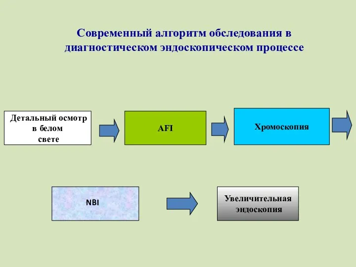 Современный алгоритм обследования в диагностическом эндоскопическом процессе Детальный осмотр в