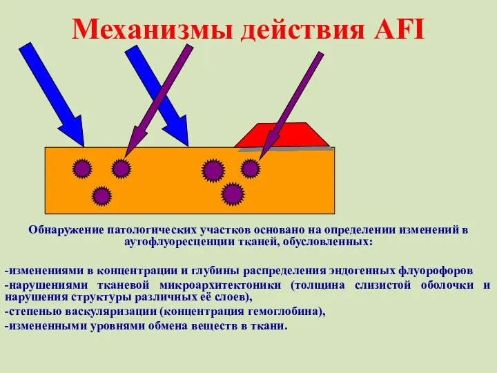 Механизмы действия AFI Обнаружение патологических участков основано на определении изменений