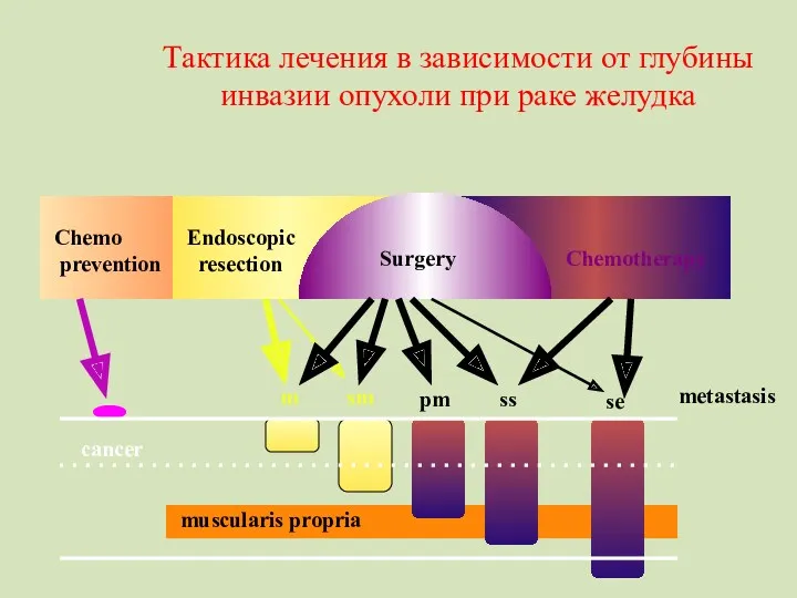 Chemo prevention Endoscopic resection metastasis cancer m sm pm ss