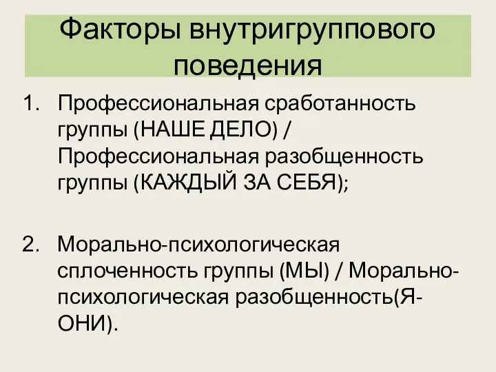 Факторы внутригруппового поведения Профессиональная сработанность группы (НАШЕ ДЕЛО) / Профессиональная