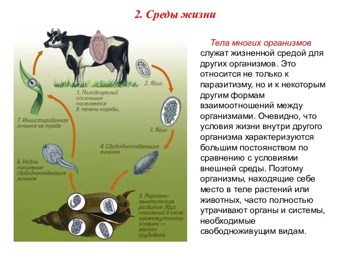 Тела многих организмов служат жизненной средой для других организмов. Это