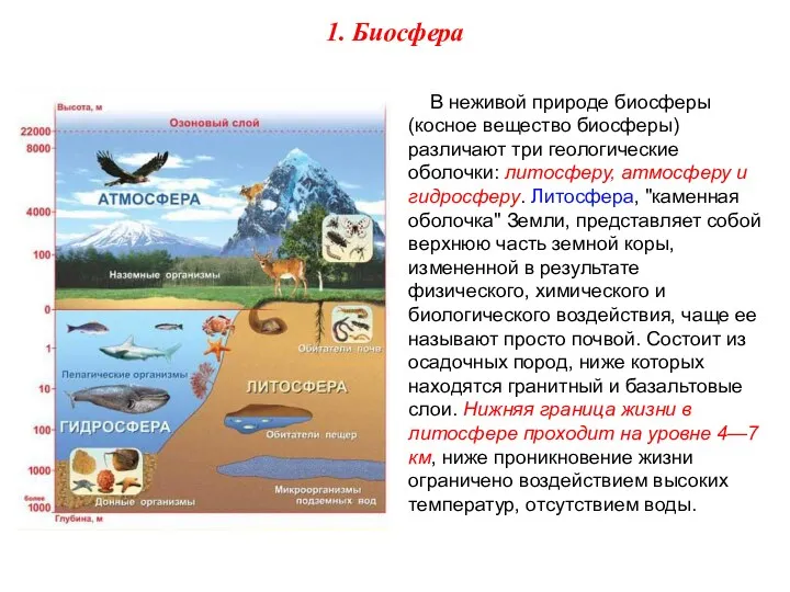 В неживой природе биосферы (косное вещество биосферы) различают три геологические