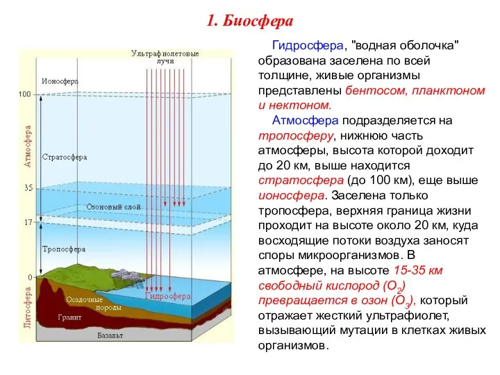 Гидросфера, "водная оболочка" образована заселена по всей толщине, живые организмы