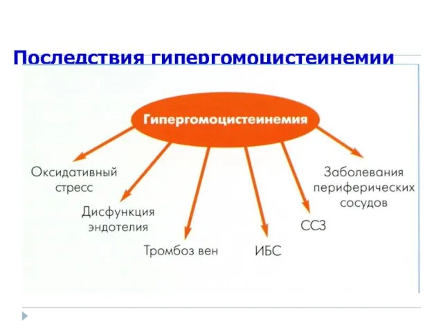 Последствия гипергомоцистеинемии В.В.Вельков, 2007