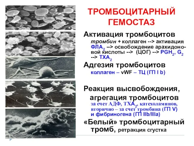 Активация тромбоцитов тромбин + коллаген --> активация ФЛА2 --> освобождение