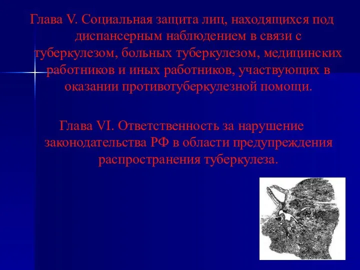 Глава V. Социальная защита лиц, находящихся под диспансерным наблюдением в