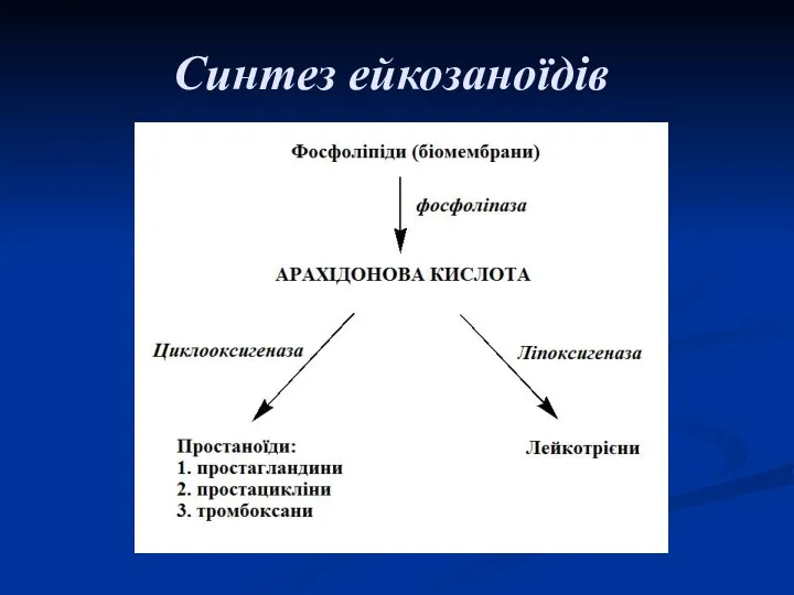 Синтез ейкозаноїдів