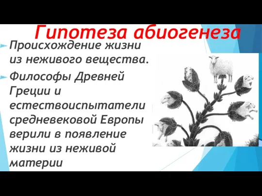 Гипотеза абиогенеза Происхождение жизни из неживого вещества. Философы Древней Греции