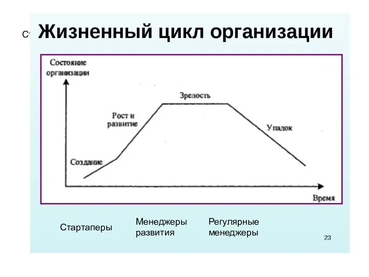 Стартаперы Стартаперы Менеджеры развития Регулярные менеджеры