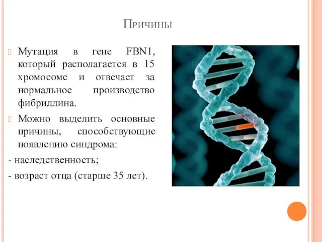 Причины Мутация в гене FBN1, который располагается в 15 хромосоме