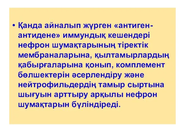 Қанда айналып жүрген «антиген-антидене» иммундық кешендері нефрон шумақтарының тіректік мембраналарына,