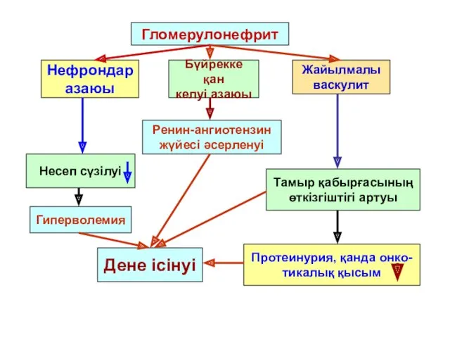 Гломерулонефрит Нефрондар азаюы Бүйрекке қан келуі азаюы Жайылмалы васкулит Ренин-ангиотензин