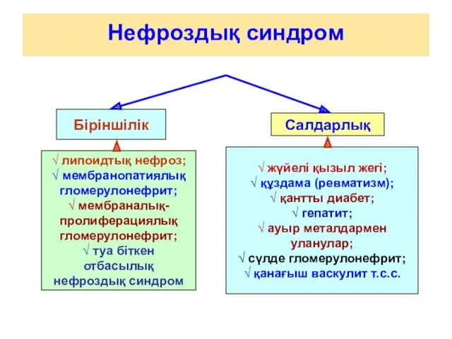 Нефроздық синдром Біріншілік Салдарлық √ липоидтық нефроз; √ мембранопатиялық гломерулонефрит;