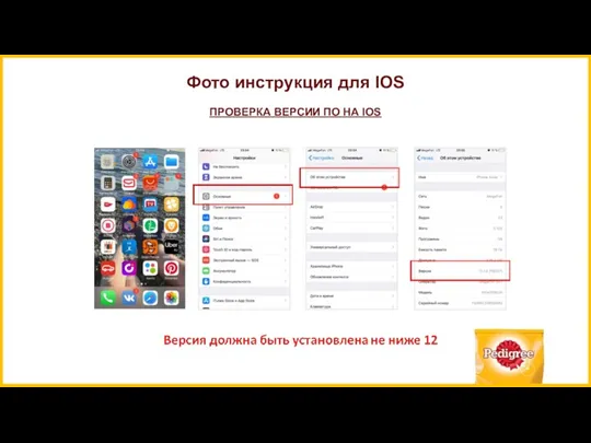 Фото инструкция для IOS ПРОВЕРКА ВЕРСИИ ПО НА IOS