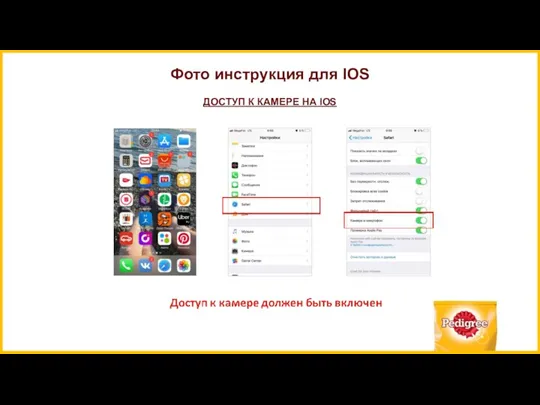 Фото инструкция для IOS ДОСТУП К КАМЕРЕ НА IOS