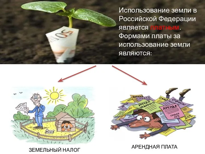 Использование земли в Российской Федерации является платным. Формами платы за использование земли являются: