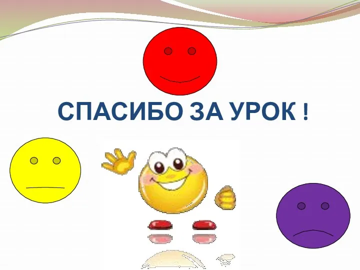 СПАСИБО ЗА УРОК !