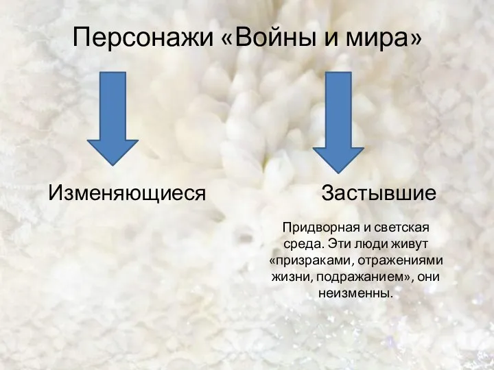 Персонажи «Войны и мира» Изменяющиеся Застывшие Придворная и светская среда.