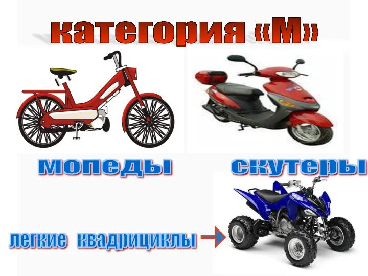 Категория «М» легкие квадрициклы категория «М» мопеды скутеры
