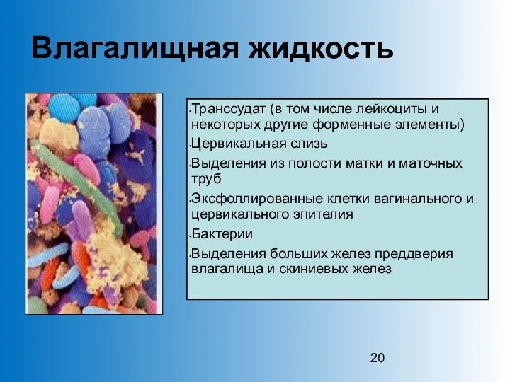 Влагалищная жидкость Транссудат (в том числе лейкоциты и некоторых другие