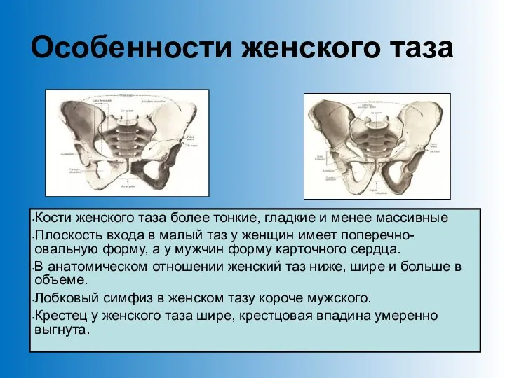 Особенности женского таза Кости женского таза более тонкие, гладкие и