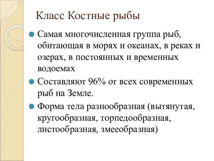 Класс Костные рыбы Самая многочисленная группа рыб, обитающая в морях