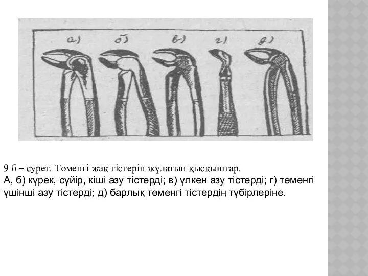 9 б – сурет. Төменгі жақ тістерін жұлатын қысқыштар. А,