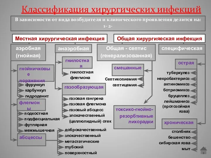 Классификация хирургических инфекций В зависимости от вида возбудителя и клинического