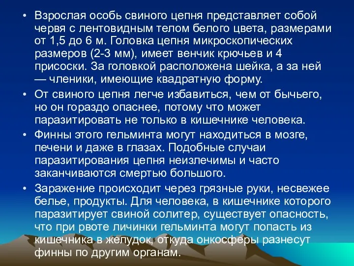 Взрослая особь свиного цепня представляет собой червя с лентовидным телом