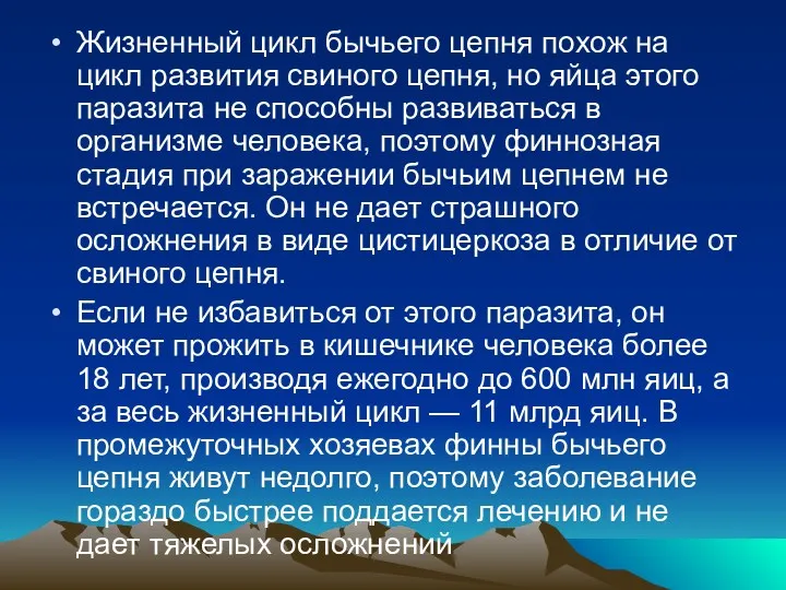 Жизненный цикл бычьего цепня похож на цикл развития свиного цепня,