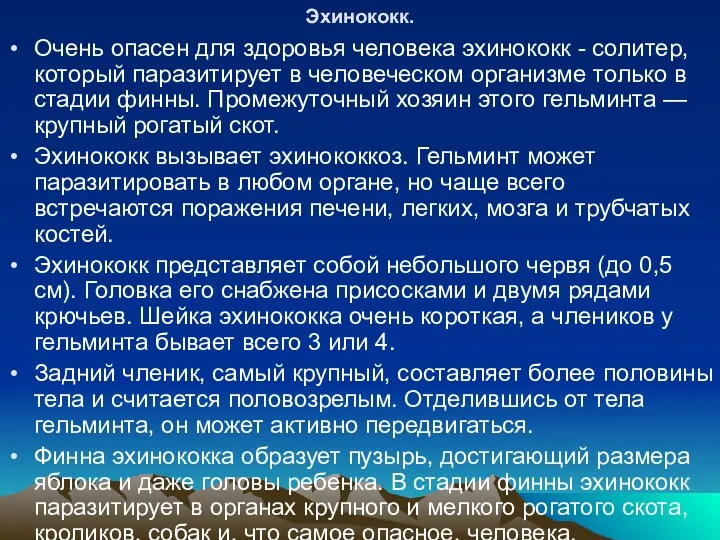 Эхинококк. Очень опасен для здоровья человека эхинококк - солитер, который