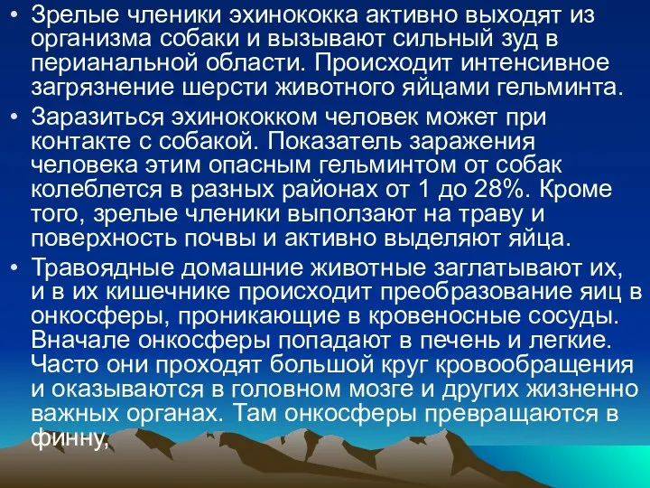 Зрелые членики эхинококка активно выходят из организма собаки и вызывают