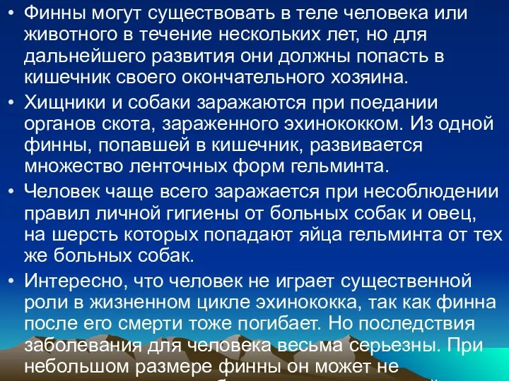 Финны могут существовать в теле человека или животного в течение