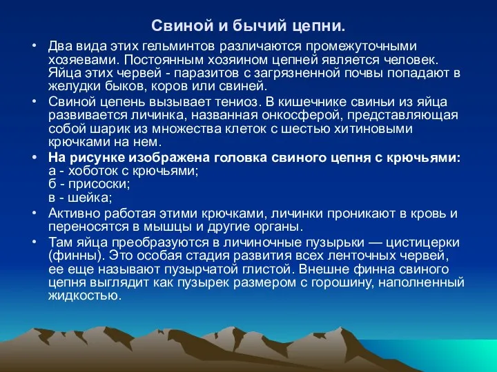 Свиной и бычий цепни. Два вида этих гельминтов различаются промежуточными